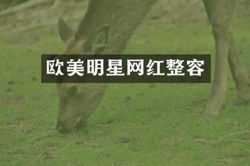 欧美明星网红整容