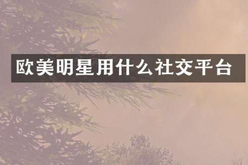 欧美明星用什么社交平台