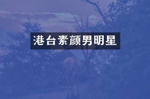 港台素颜男明星