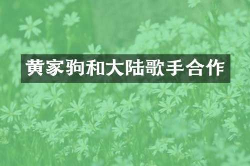 黄家驹和大陆歌手合作