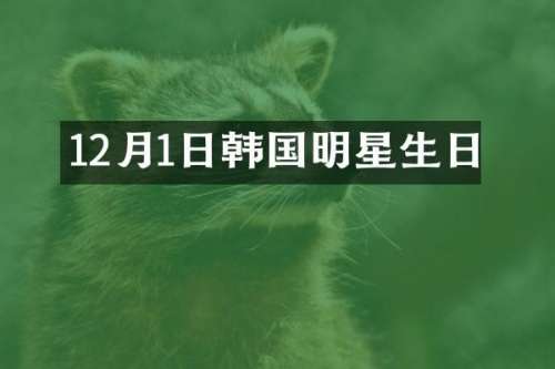 12月1日韩国明星生日