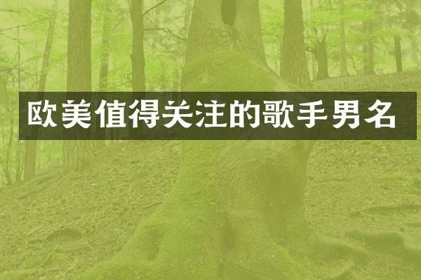 欧美值得关注的歌手男名