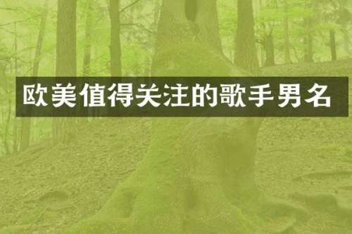 欧美值得关注的歌手男名