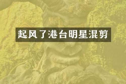 起风了港台明星混剪