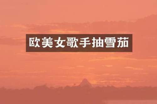 欧歌手抽