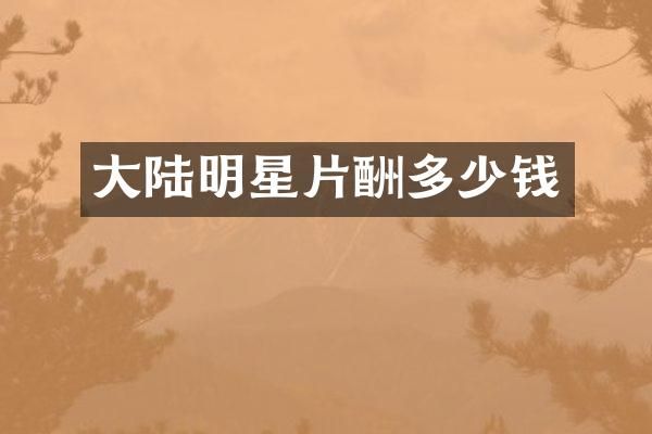 大陆明星片酬多少钱