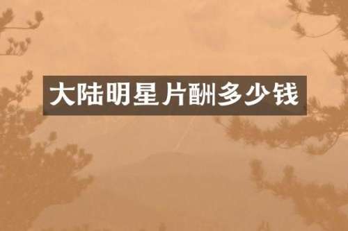 大陆明星片酬多少钱