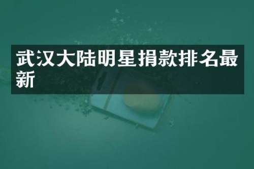 武汉大陆明星捐款排名最新
