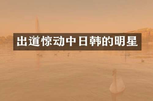 出道惊动中日韩的明星