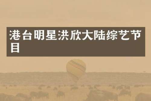 港台明星洪欣大陆综艺节目