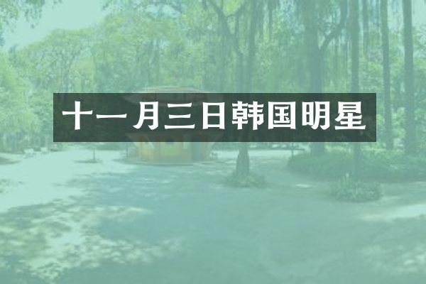 十一月三日韩国明星