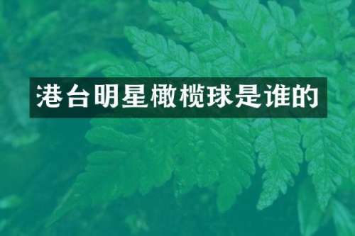 港台明星橄榄球是谁的