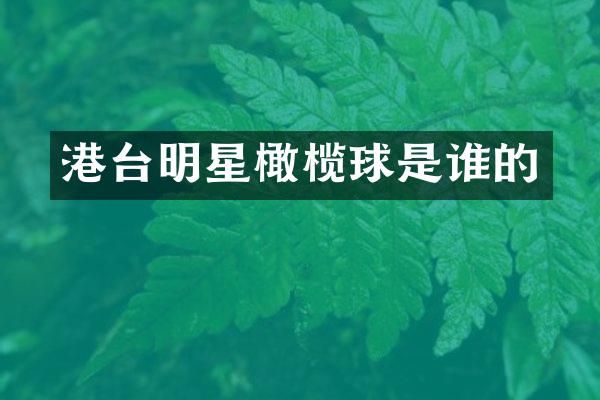 港台明星橄榄球是谁的