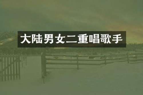 大陆男女二重唱歌手