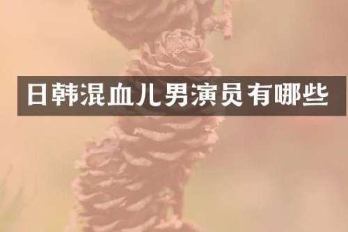 日韩混血儿男演员有哪些