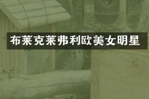 布莱克莱弗利欧明星