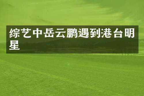 综艺中岳云鹏遇到港台明星