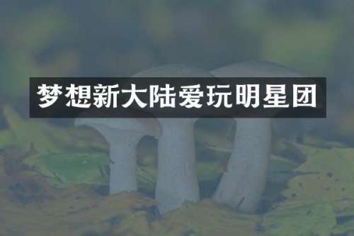 梦想新大陆爱玩明星团