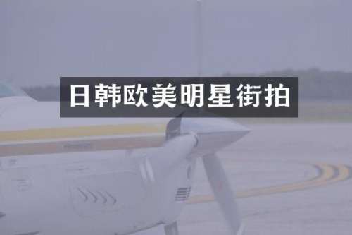 日韩欧美明星街拍