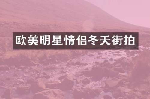 欧美明星情侣冬天街拍