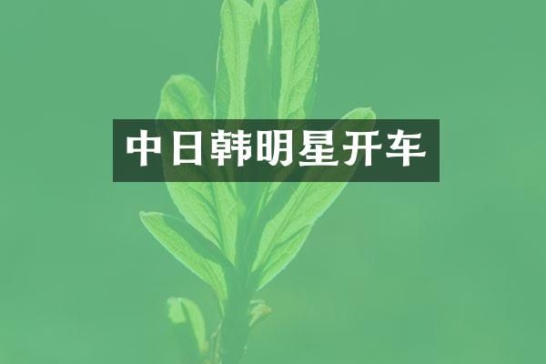 中日韩明星开车
