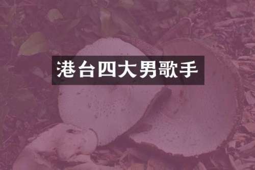 港台四大男歌手