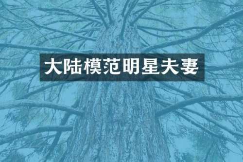 大陆模范明星夫妻