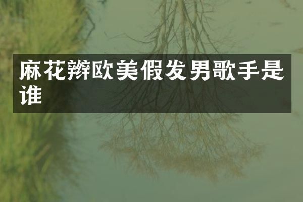 麻花辫欧美假发男歌手是谁