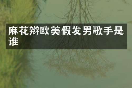 麻花辫欧美假发男歌手是谁