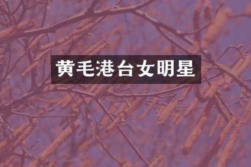 黄毛港台女明星