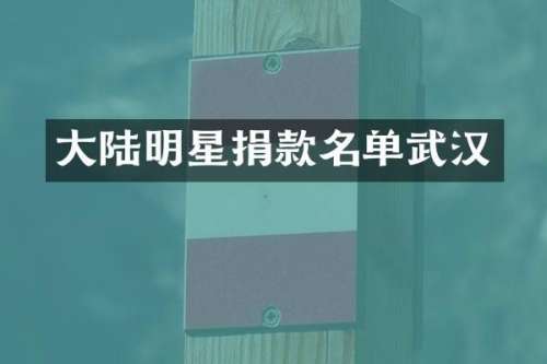 大陆明星捐款名单武汉