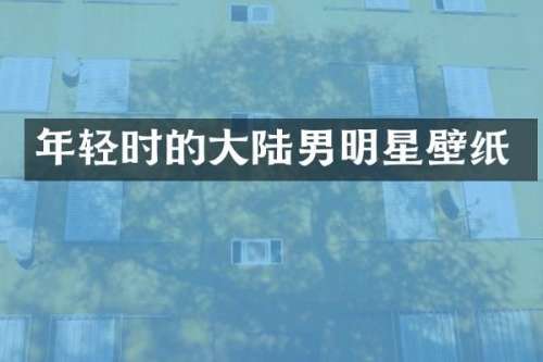 年轻时的大陆男明星壁纸