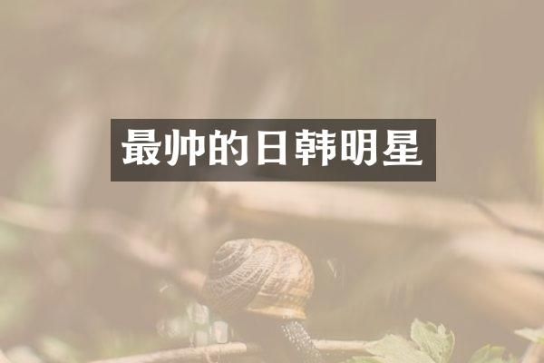 最帅的日韩明星