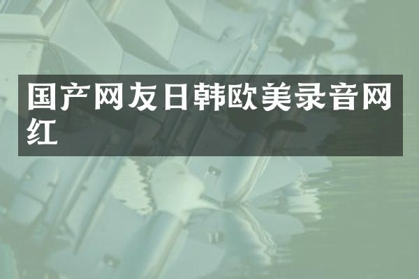 国产网友日韩欧美录音网红