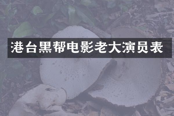 港台黑帮电影老大演员表