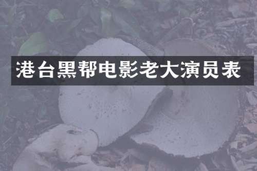 港台黑帮电影老大演员表