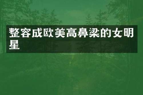 整容成欧美高鼻梁的女明星