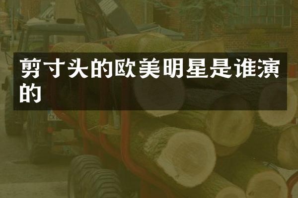 剪寸头的欧美明星是谁演的