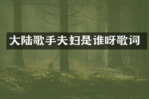大陆歌手夫妇是谁呀歌词