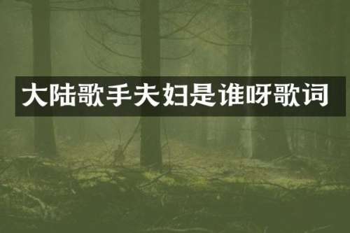 大陆歌手夫妇是谁呀歌词