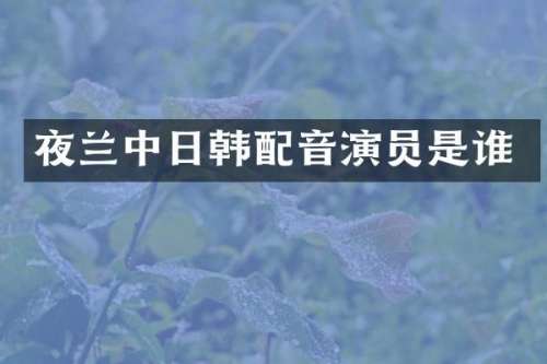 夜兰中日韩配音演员是谁