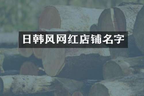日韩风网红店铺名字