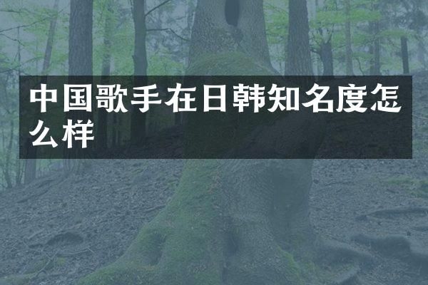 中国歌手在日韩知名度怎么样