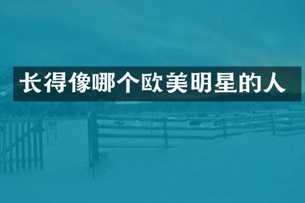 长得像哪个欧美明星的人
