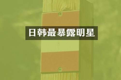 日韩最暴明星