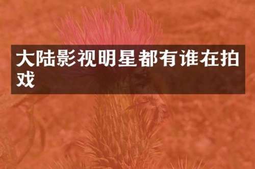 大陆影视明星都有谁在拍戏