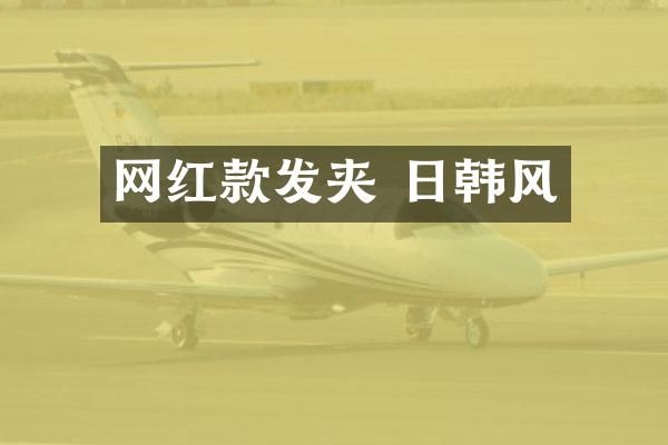 网红款发夹 日韩风