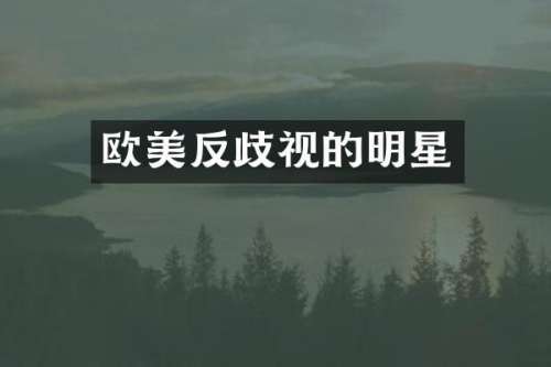 欧美反歧视的明星