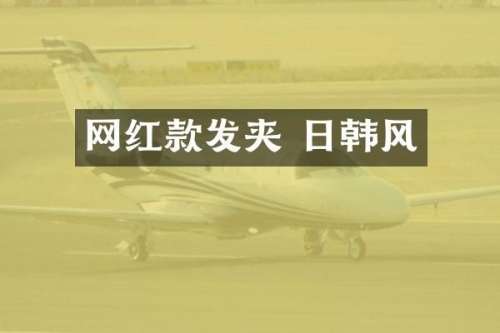 网红款发夹 日韩风