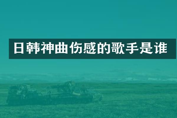日韩神曲伤感的歌手是谁